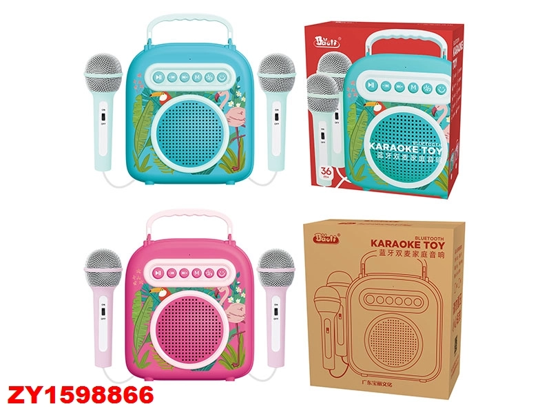 Bluetooth Karaoke Toy Machine